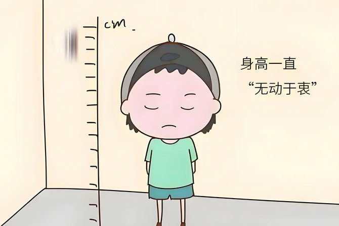 身高高大速度快 技术不足潜力无限