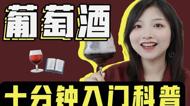 梅里诺：绝杀葡萄牙时我想到了斯图加特，我真是太幸运了2010